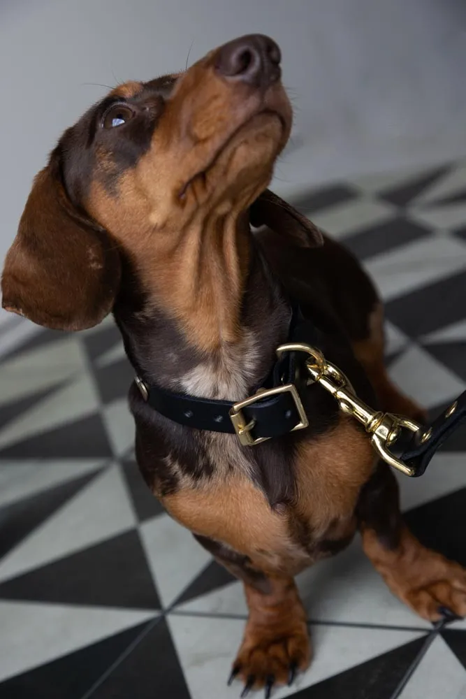 Black Leather Dog Collar With Hearts - 5 Available Sizes