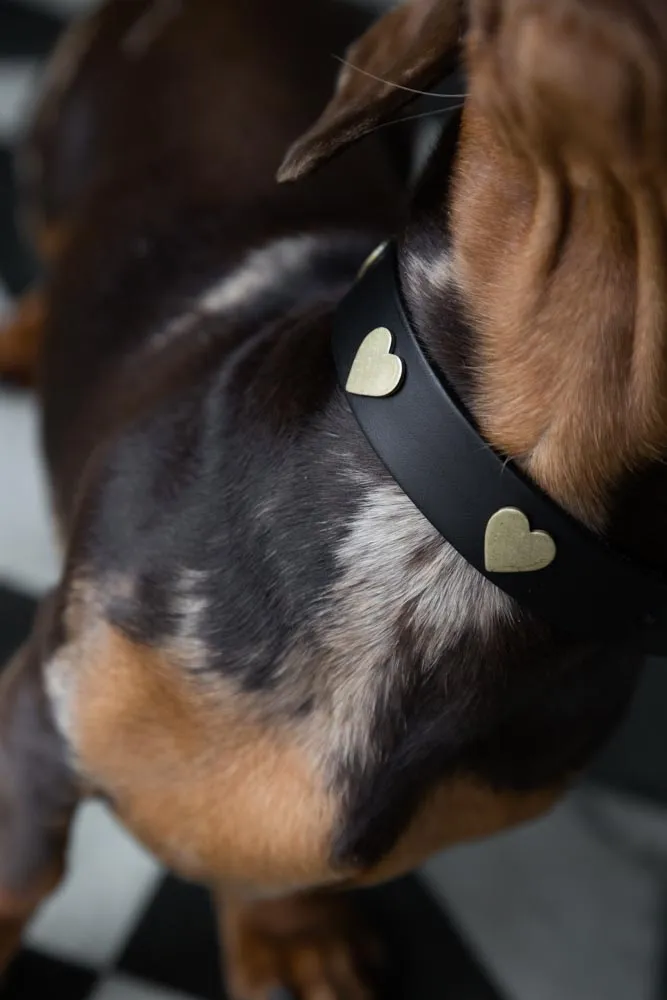 Black Leather Dog Collar With Hearts - 5 Available Sizes