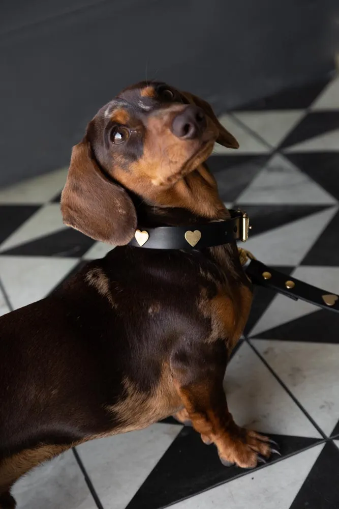 Black Leather Dog Collar With Hearts - 5 Available Sizes