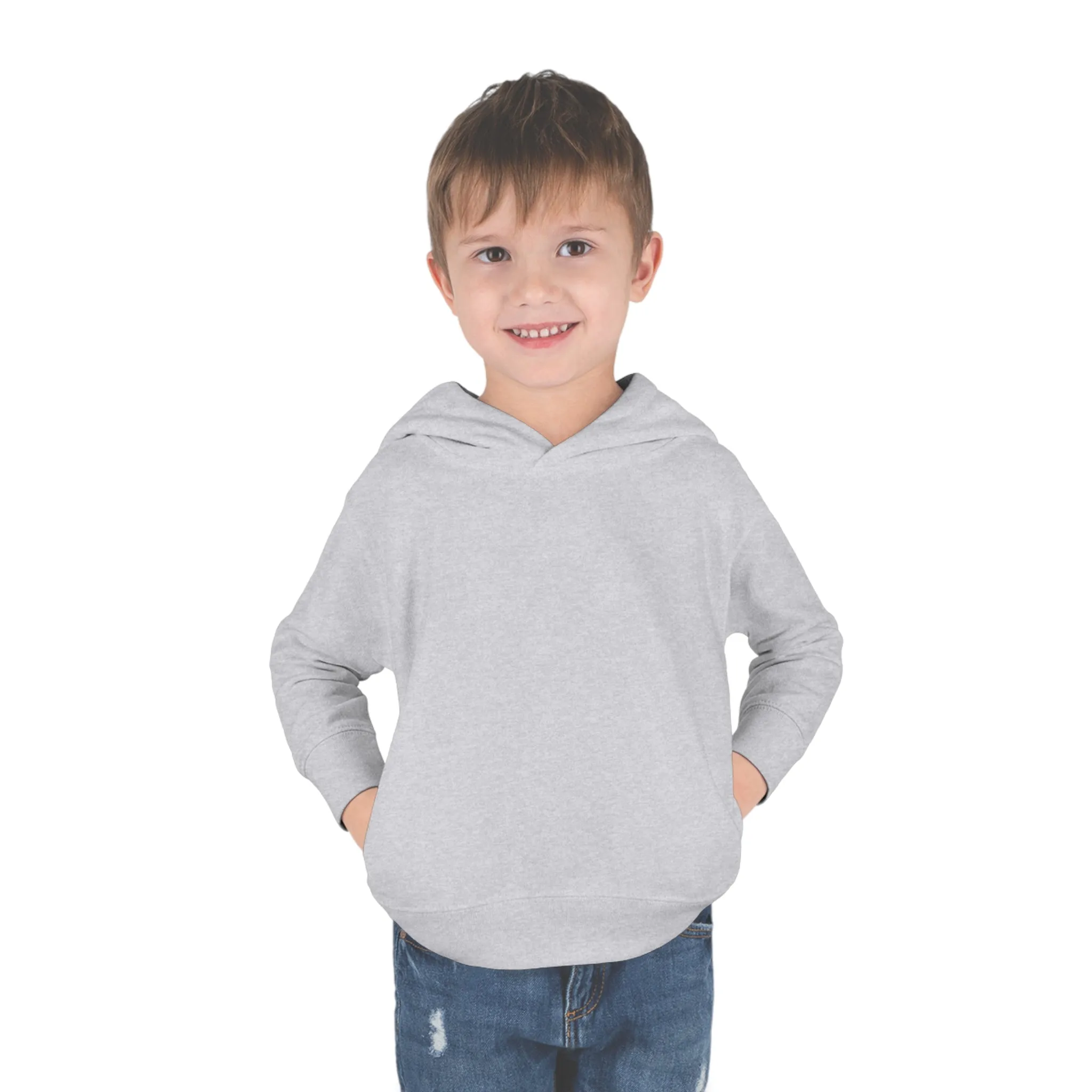 Link's Martial Arts Toddler Pullover Fleece Logo Hoodie