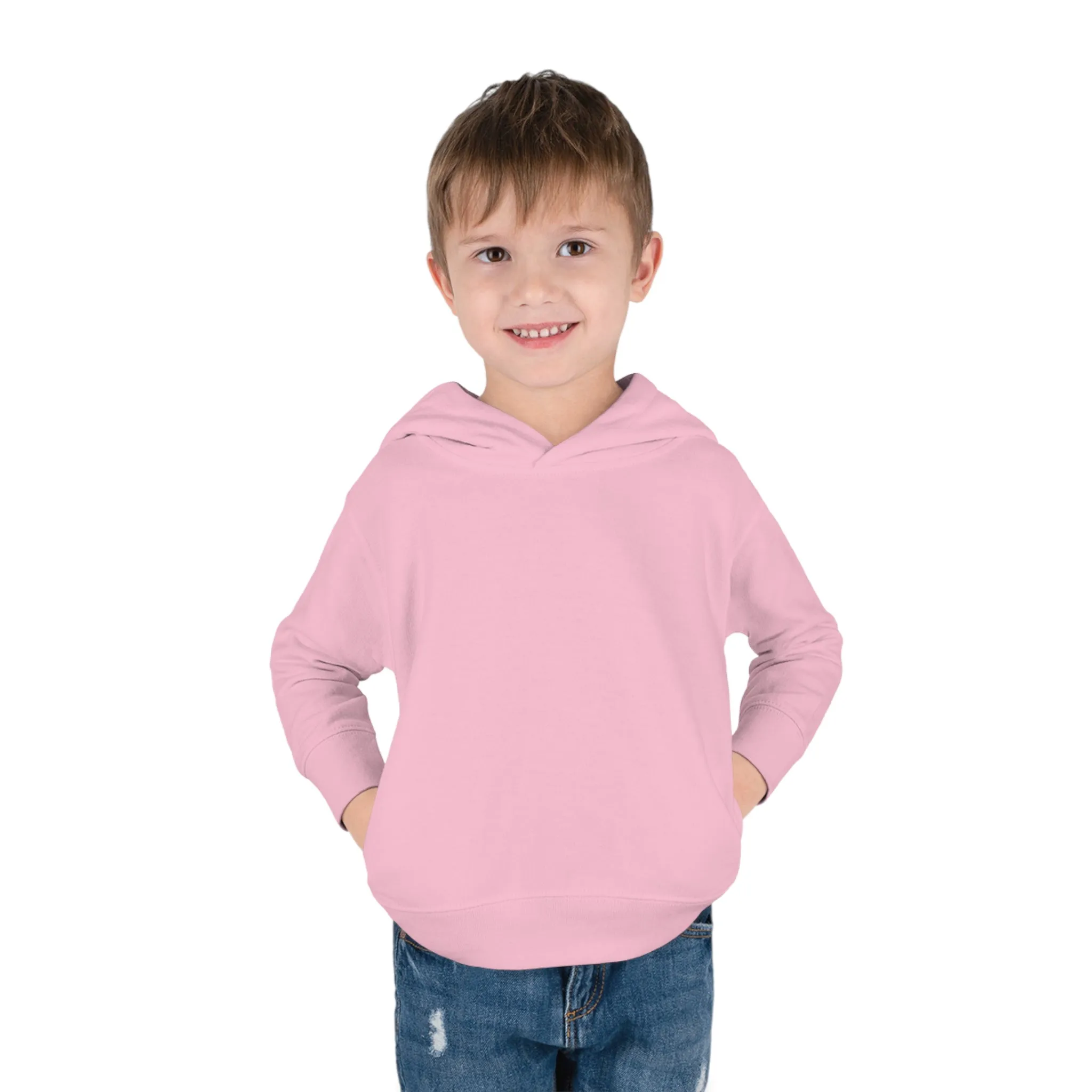 Link's Martial Arts Toddler Pullover Fleece Logo Hoodie