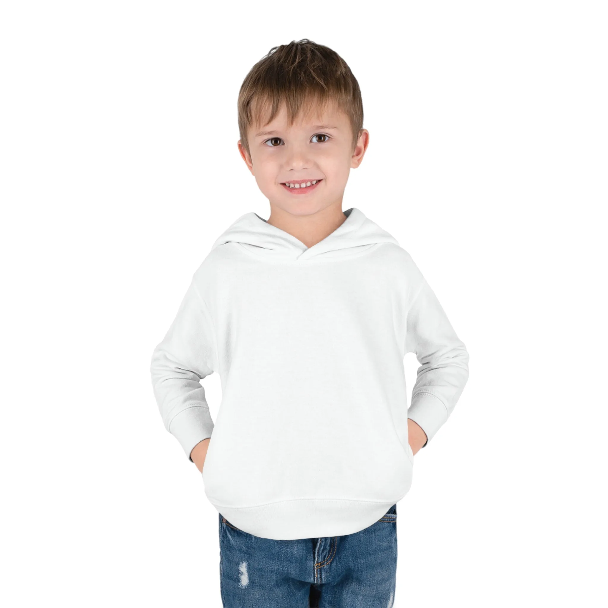 Link's Martial Arts Toddler Pullover Fleece Logo Hoodie