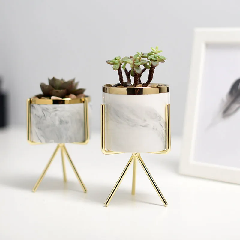 Mini Marble Pattern Planter with Gold Stand